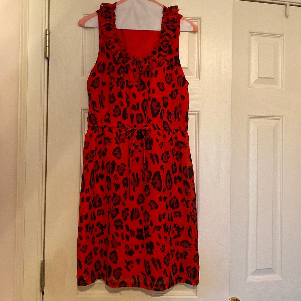 Ladies sleeveless dress